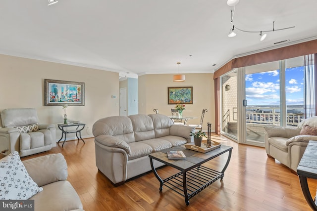 living room with hardwood / wood-style flooring and crown molding