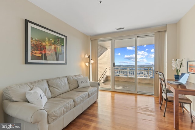 living room featuring hardwood / wood-style flooring