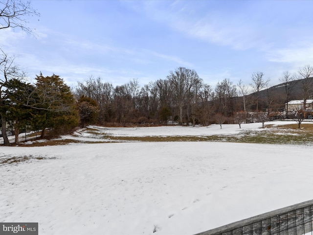 view of snowy yard