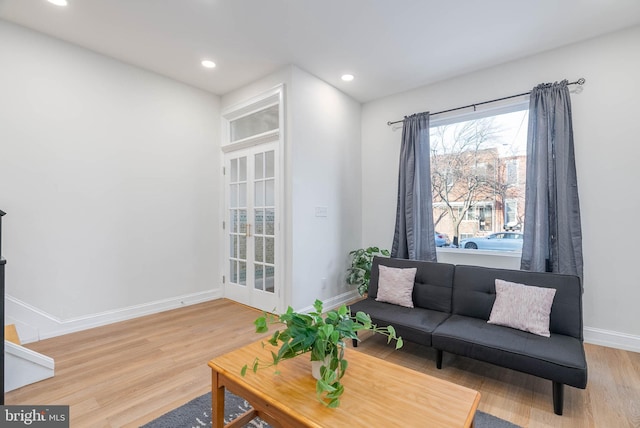 living room with wood-type flooring