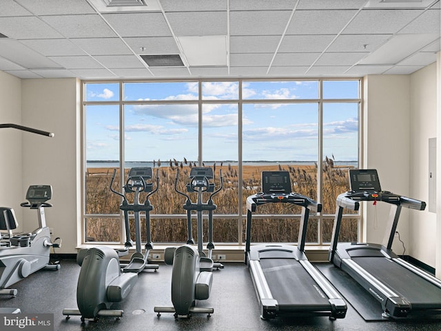 workout area with plenty of natural light, a wall of windows, and a paneled ceiling