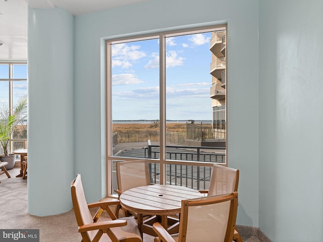 dining space featuring carpet