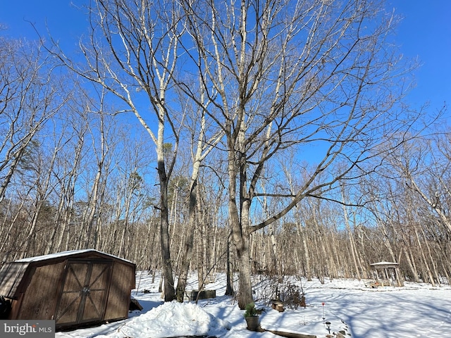 yard covered in snow with a storage unit