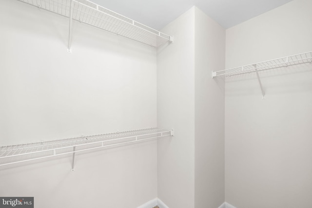 view of spacious closet