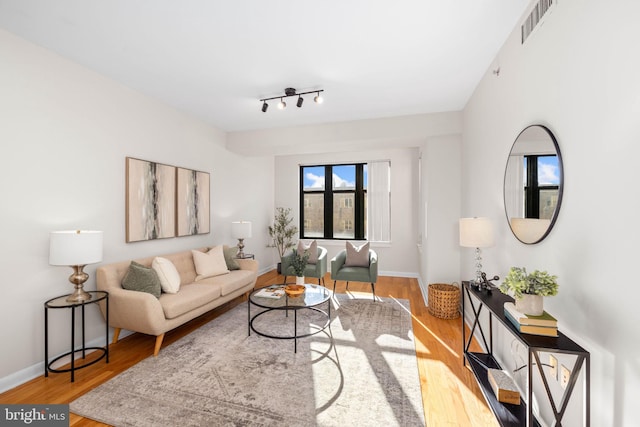 living room featuring wood-type flooring