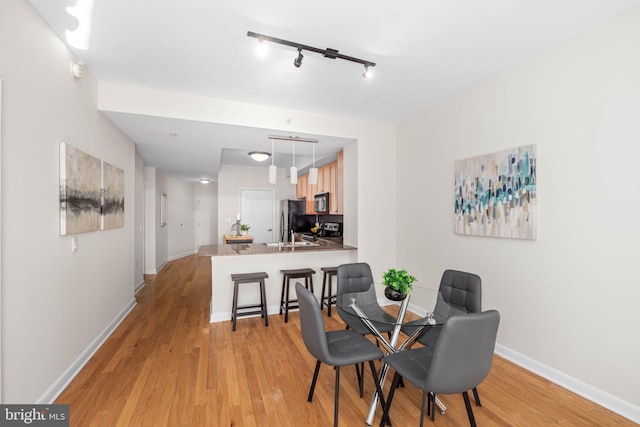 dining area with light hardwood / wood-style flooring