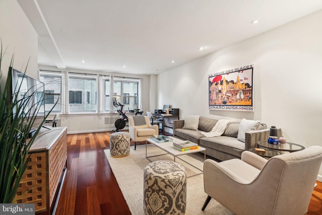 living room with wood-type flooring