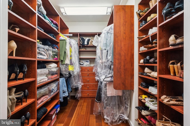 walk in closet with dark hardwood / wood-style flooring