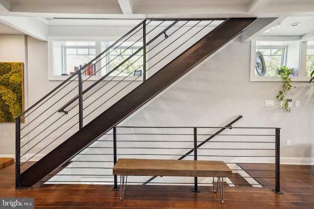 stairs featuring hardwood / wood-style flooring