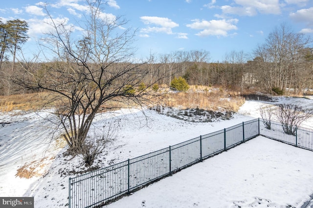 view of yard covered in snow