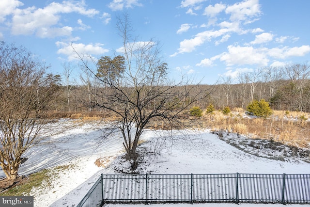 view of yard layered in snow