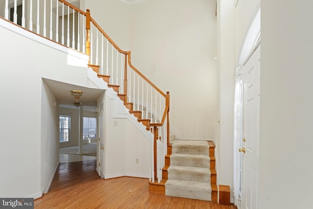 foyer with a towering ceiling and hardwood / wood-style flooring