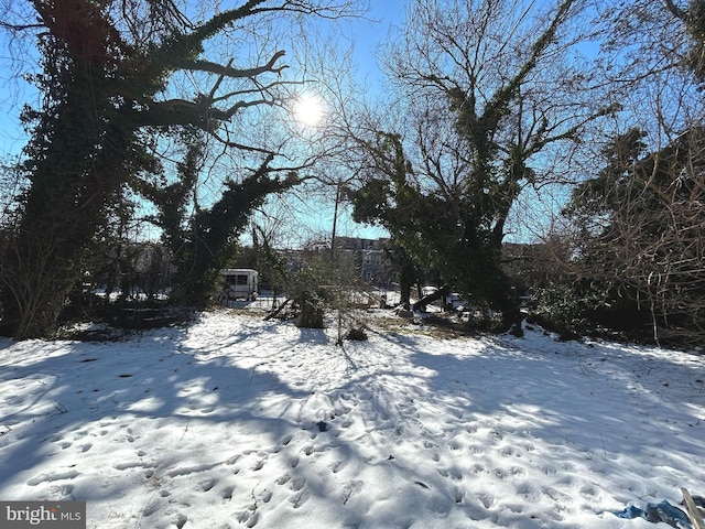 view of snowy yard