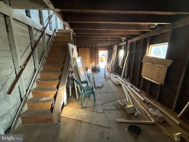 basement with a wealth of natural light