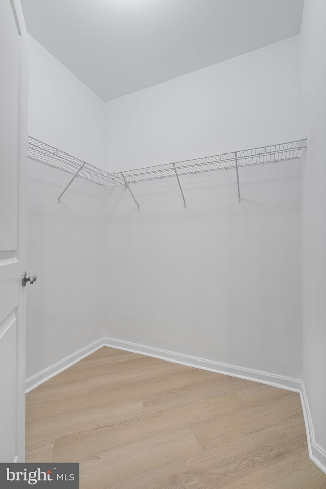 spacious closet with light hardwood / wood-style floors