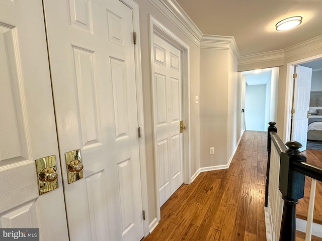 hall featuring hardwood / wood-style flooring and ornamental molding