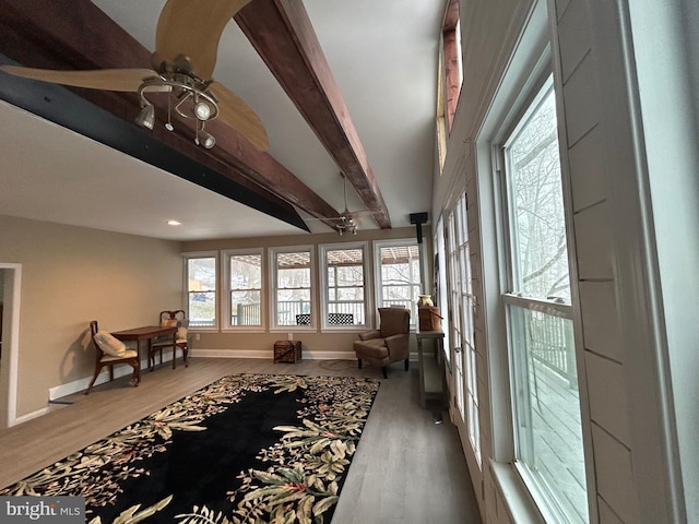 living area featuring wood-type flooring, beam ceiling, and plenty of natural light