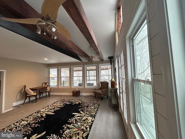 living area featuring beamed ceiling, plenty of natural light, hardwood / wood-style floors, and ceiling fan