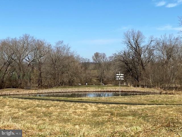 view of yard with a water view