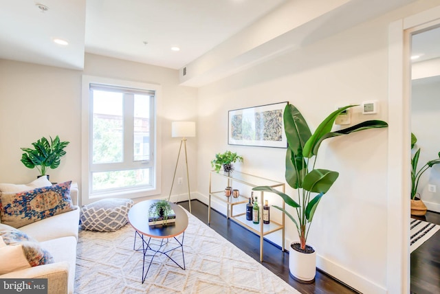 sitting room featuring hardwood / wood-style floors