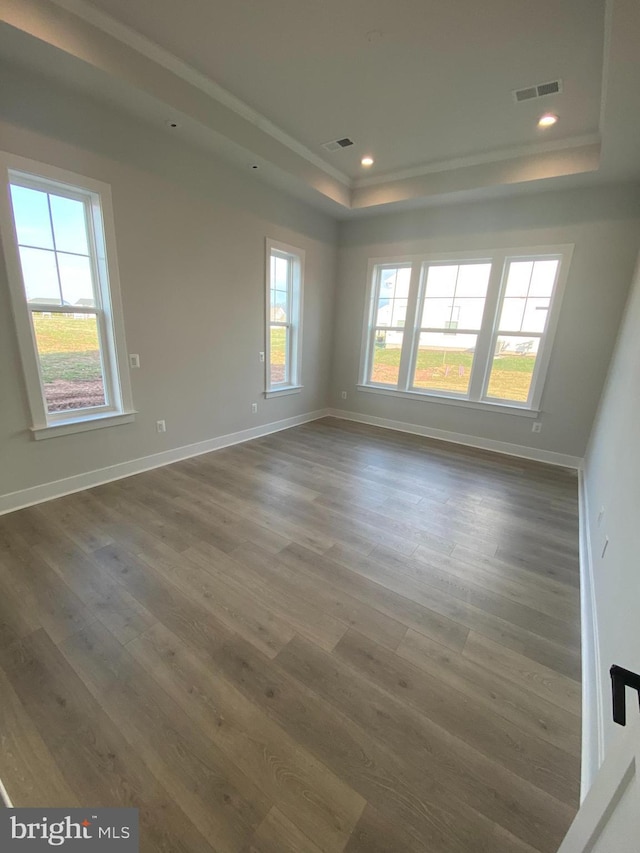 empty room featuring dark hardwood / wood-style floors and a tray ceiling