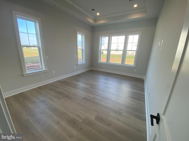 spare room with a raised ceiling and dark hardwood / wood-style floors