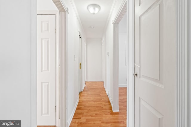 hallway featuring ornamental molding and light hardwood / wood-style floors