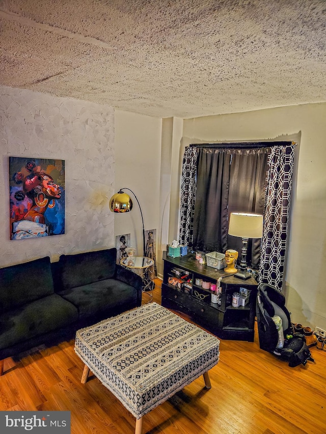 living room featuring wood-type flooring