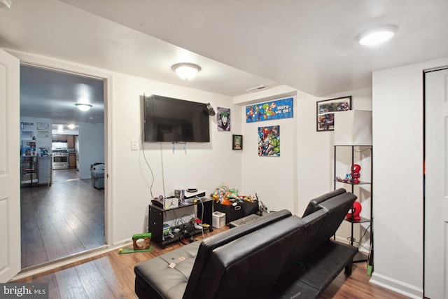 living room featuring wood-type flooring