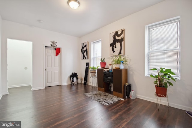 foyer featuring dark wood-type flooring