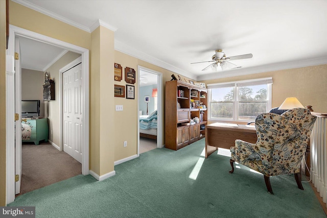 office featuring ceiling fan, carpet, and ornamental molding