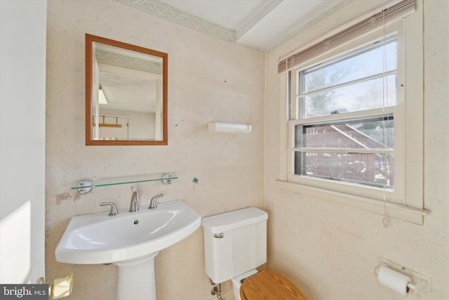 bathroom with sink and toilet