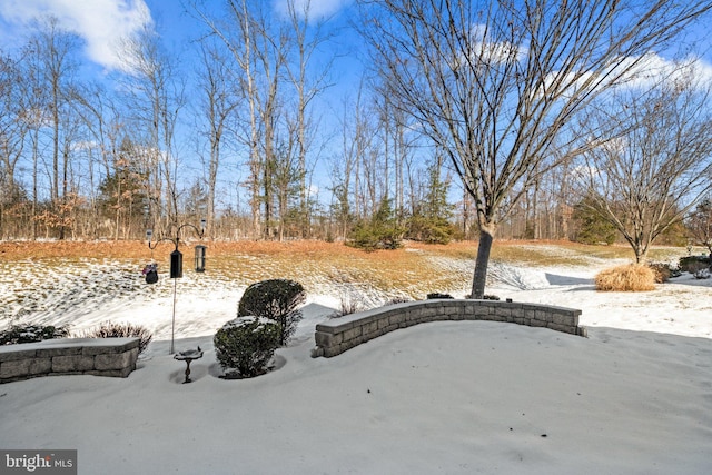 view of yard covered in snow