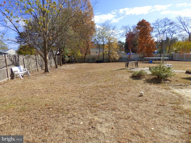 view of yard featuring a trampoline