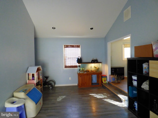 living area featuring dark wood-type flooring and vaulted ceiling