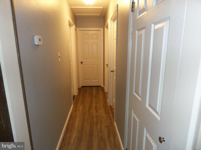 hall with dark hardwood / wood-style flooring