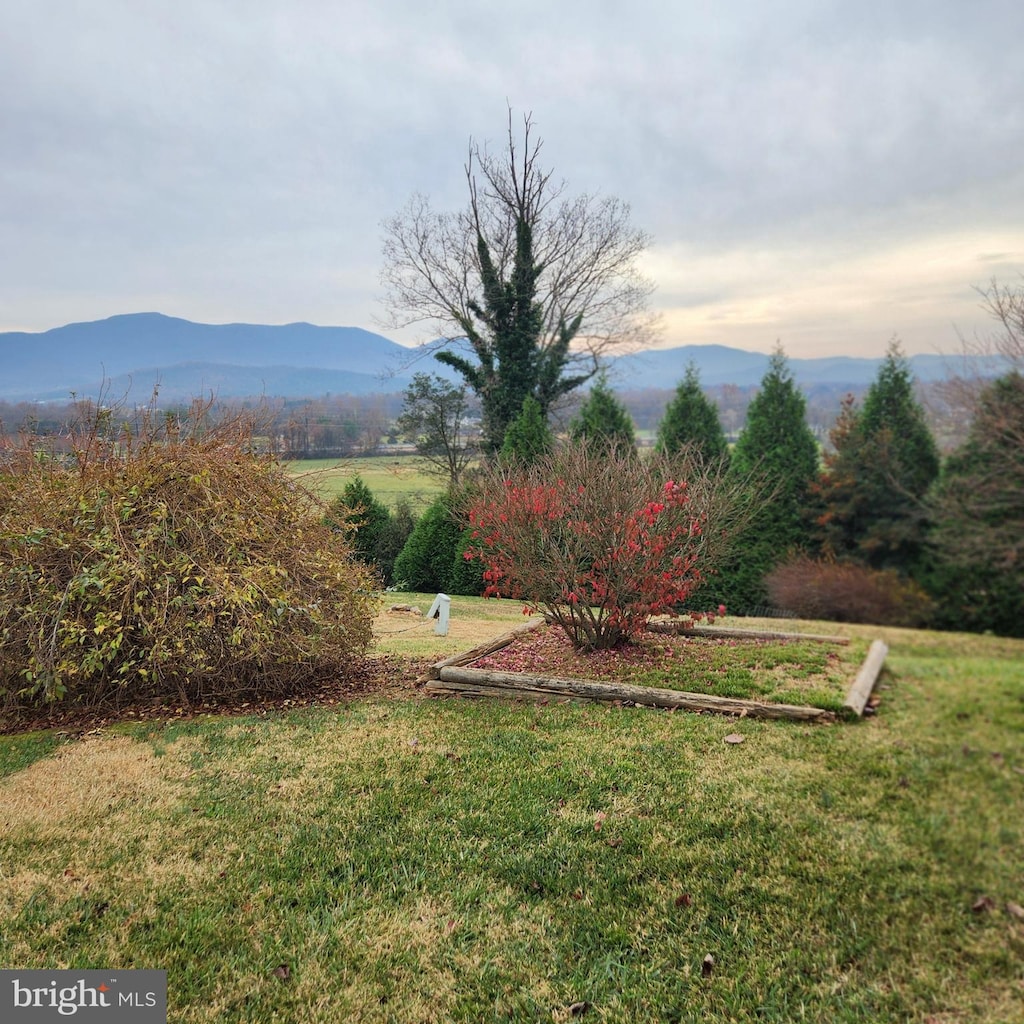 view of yard with a mountain view and a rural view