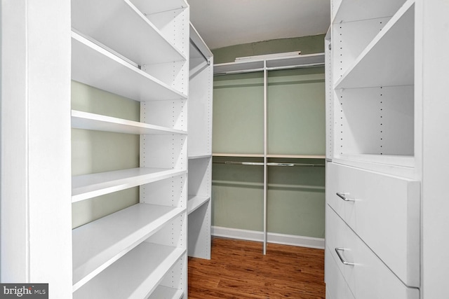 spacious closet with wood-type flooring