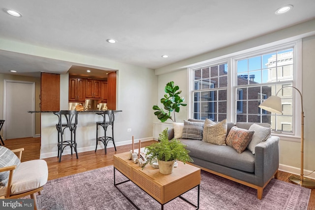 living room featuring light hardwood / wood-style flooring