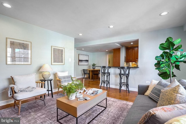 living room featuring hardwood / wood-style flooring