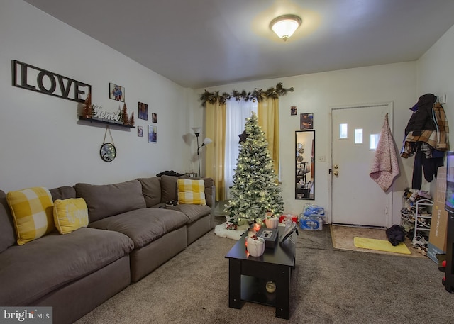 living room with carpet floors and a wealth of natural light