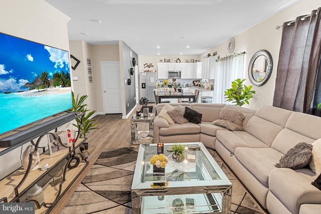 living room featuring light hardwood / wood-style floors