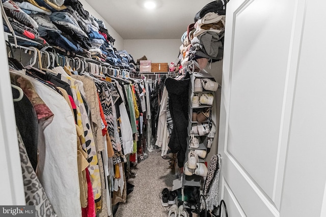 spacious closet featuring carpet