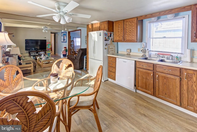 kitchen with white appliances, ceiling fan, light hardwood / wood-style flooring, and sink