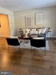 living room featuring hardwood / wood-style floors