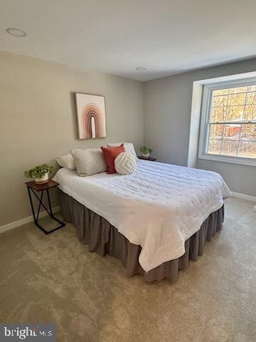 bedroom with carpet flooring