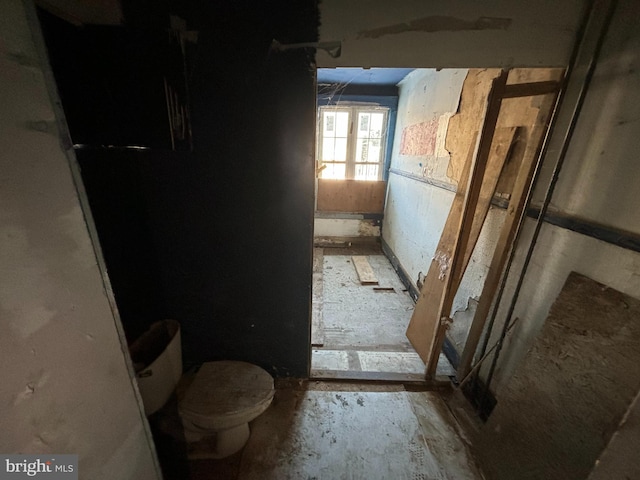 bathroom with toilet