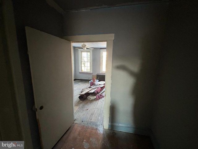 hall featuring radiator heating unit and hardwood / wood-style floors