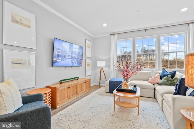 living room featuring light hardwood / wood-style floors and crown molding