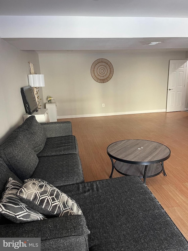 living room featuring hardwood / wood-style floors